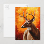 Carte Postale Tête de buck trophée de cerf de Virginie (Devant / Derrière)