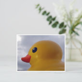 Carte Postale tête de canard (Debout devant)