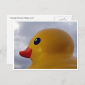 Carte Postale tête de canard (Devant / Derrière)
