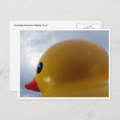 Carte Postale tête de canard ronde (Devant / Derrière)