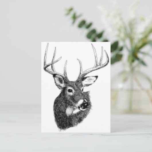 Carte Postale tête de cerf (Debout devant)