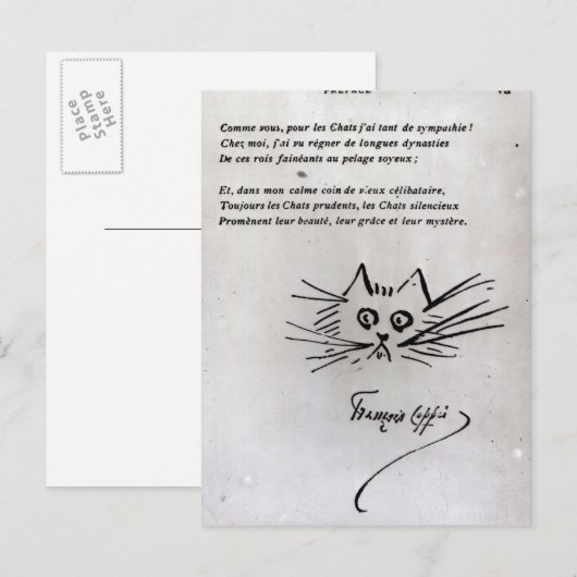Carte Postale Tête de chat (Devant / Derrière)