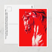 Carte Postale Tête de chevaux (Rouge) (Devant / Derrière)