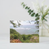 Carte Postale Tête de diamant (Debout devant)