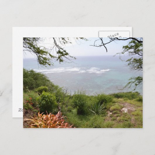 Carte Postale Tête de diamant (Devant / Derrière)