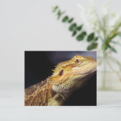 Carte Postale Tête de dragon à tête nue 2 (Debout devant)