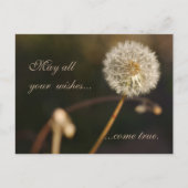 Carte Postale Tête de graines de Dandelion en tons Brown (Devant)