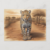 Carte Postale Tête de léopard africain (Devant)