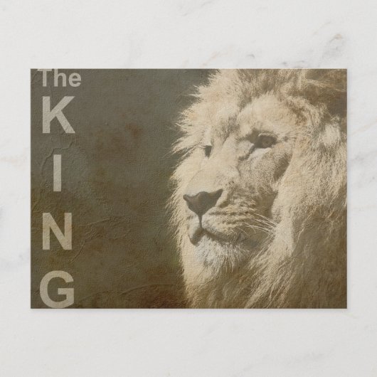 Carte Postale Tête de lion branchée Le King Modern Pop Art Modèl (Devant)
