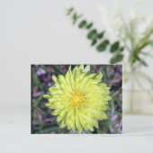 Carte postale Tête de lion Fleur Jaune (Debout devant)