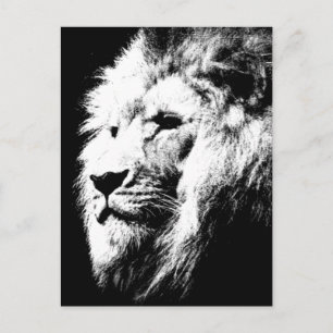 Carte Postale Tête de lion moderne image d'art pop noir et blanc
