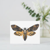 Carte postale Tête de Mort (Debout devant)