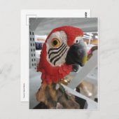 Carte Postale Tête de port (Devant / Derrière)