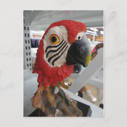 Carte Postale Tête de port (Devant)