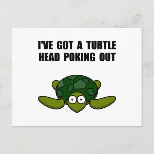 Carte Postale Tête de tortue arrachée (Devant)