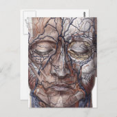 Carte Postale Tête de veines et de muscles (Devant / Derrière)