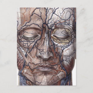 Carte Postale Tête de veines et de musles