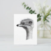 CARTE POSTALE TÊTE D'OSTRICH À PENCIL : ART : RÉALISME (Debout devant)