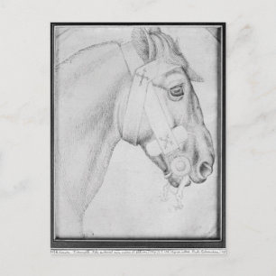 Carte Postale Tête d'un cheval, de l'Album Vallardi