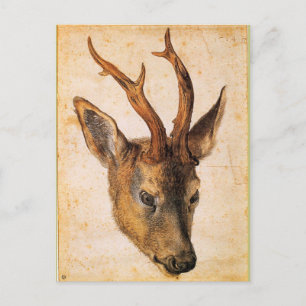 Carte Postale Tête d'un Stag par Albrecht Durer