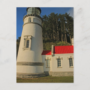 Carte Postale Tête Heceta restaurée