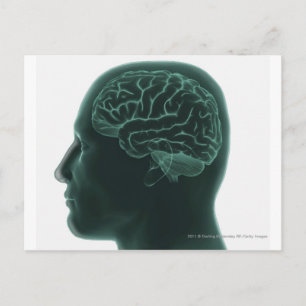 Carte Postale Tête humaine en profil montrant le cerveau