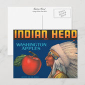 Carte Postale Tête indienne (Devant / Derrière)