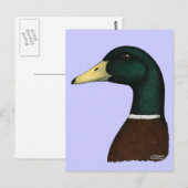 Carte Postale Tête Mallard Drake (Devant / Derrière)