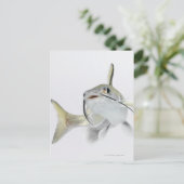 Carte Postale Tete poisson de mer (Hexanematichthys seemanni) 2 (Debout devant)