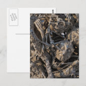 Carte Postale Têtes à hurler Macabre Sequin Art, Temple Blanc (Devant / Derrière)