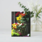 Carte Postale Têtes de coquelicot (Debout devant)