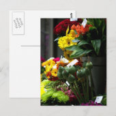 Carte Postale Têtes de coquelicot (Devant / Derrière)