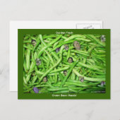 Carte Postale Têtes de haricots verts ! (Devant / Derrière)
