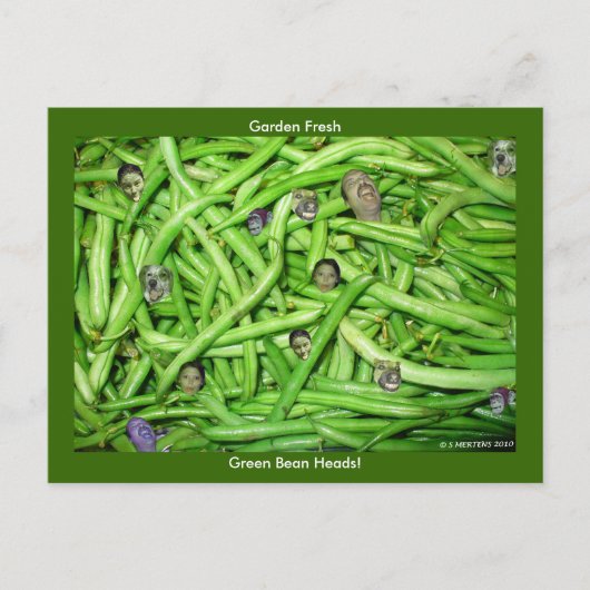 Carte Postale Têtes de haricots verts ! (Devant)