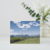 Carte postale Teton Fence (Debout devant)