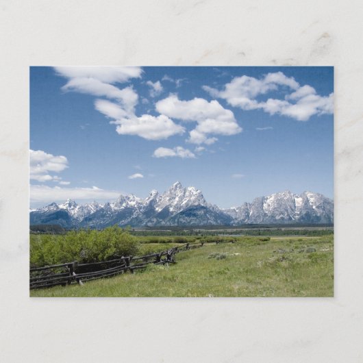 Carte postale Teton Fence (Devant)