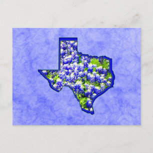 CARTE POSTALE TEXAS BLUEBONNETS