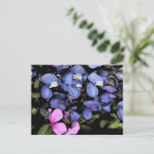 Carte Postale Texas Bluebonnets Closeup (Debout devant)