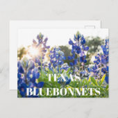 Carte Postale Texas Bluebonnets Fleur Fleur sauvage Bleu Floral (Devant / Derrière)