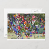 Carte Postale Texas Bottle Tree (Devant / Derrière)