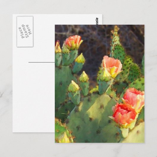 Carte Postale Texas Cactus 2 (Devant / Derrière)