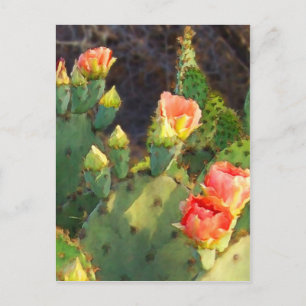 Carte Postale Texas Cactus 2