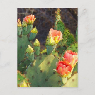 Carte Postale Texas Cactus 2