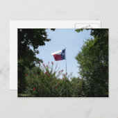 Carte postale Texas Flag (Devant / Derrière)