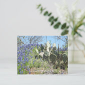 Carte postale Texas Fleurs sauvages & Cactus | Sou (Debout devant)