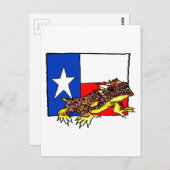 CARTE POSTALE TEXAS HORNÉ TOAD (Devant / Derrière)