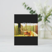 Carte Postale Texas Long Horn (Debout devant)