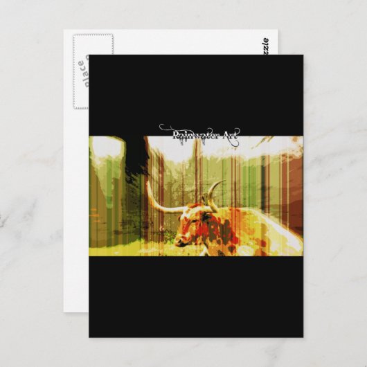 Carte Postale Texas Long Horn (Devant / Derrière)