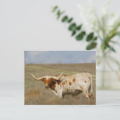 Carte Postale Texas Long Horn (Debout devant)
