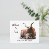 Carte postale Texas Longhorn (Debout devant)